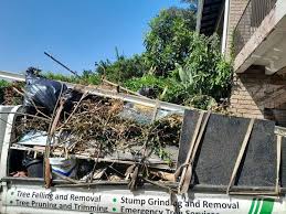 Best Residential Junk Removal  in Friendly, MD